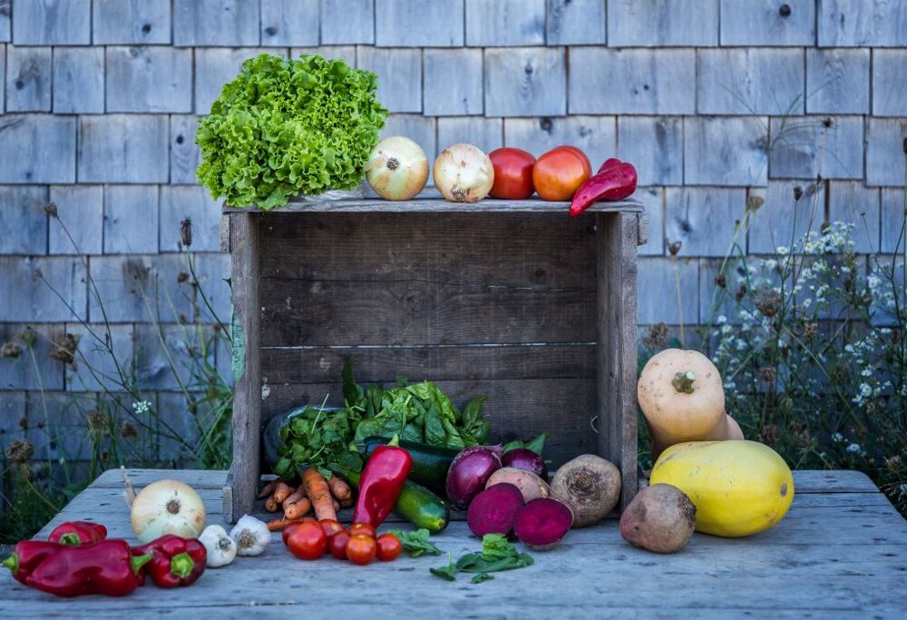 Panier 05 (1024x683)